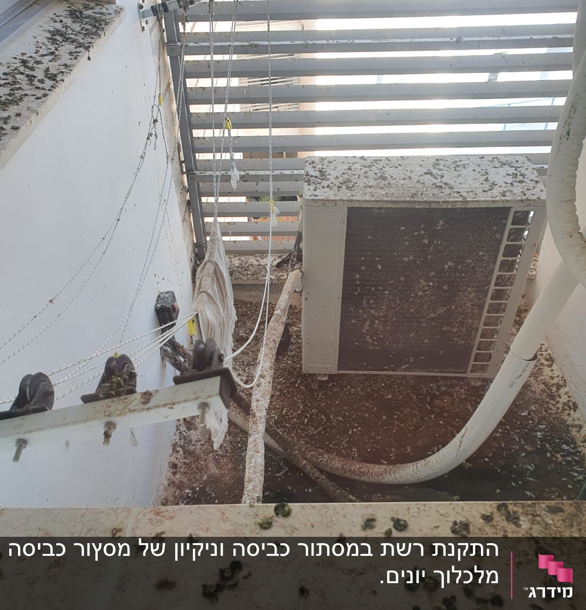 מזגן מלוכלך בלשלשת יונים על מרפסת